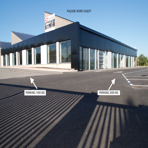 Location Immobilier Professionnel Local commercial Perpignan 66100