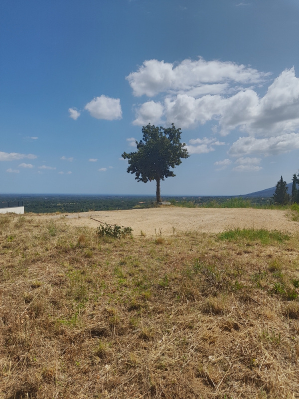 Offres de vente Terrain à batir Villelongue-dels-Monts 66740